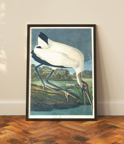 Wood Ibis - Image 2