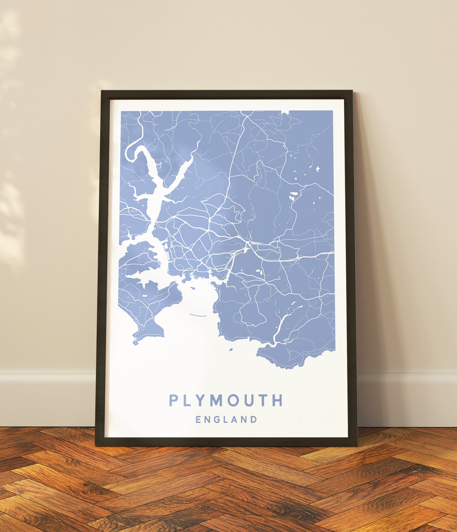 54 Plymouth Map MOCKUP 